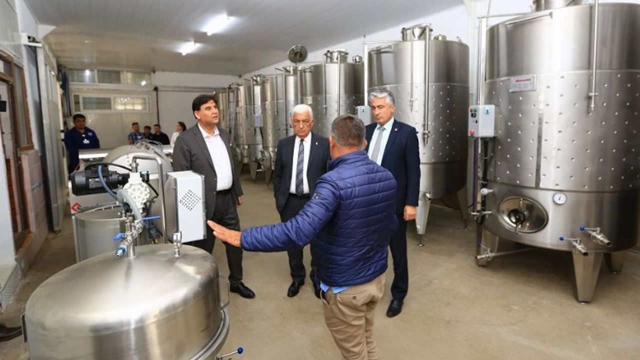 Muğla'ya üzüm suyu, sirke, pekmez ve şarap üretim tesisi