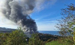 Trabzon’da balık fabrikasında yangın çıktı, dumanlar gökyüzünü kapladı