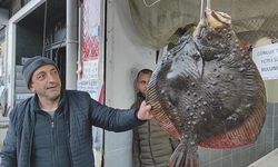 Balıkçı ağına takılan 7 kg ağırlığındaki kalkan balığı 7 bin TL’den anında alıcı bulundu