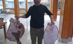 Türkeli’de 10 kilogramlık kalkan balığı yakalandı