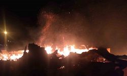 Çorum’da yangın! 55 koyun telef oldu 1 ev ve ahır yandı