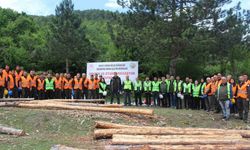 Ormanda üretim-standardizasyon eğitimi