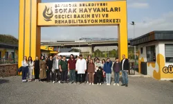 Kocaeli'de gençlerden sokak hayvanları merkezine ziyaret