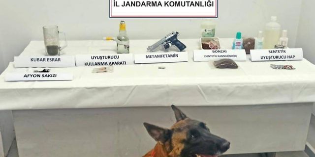 Jandarma narkotik köpeği ‘Limon’ ilk operasyonunda tespit etti
