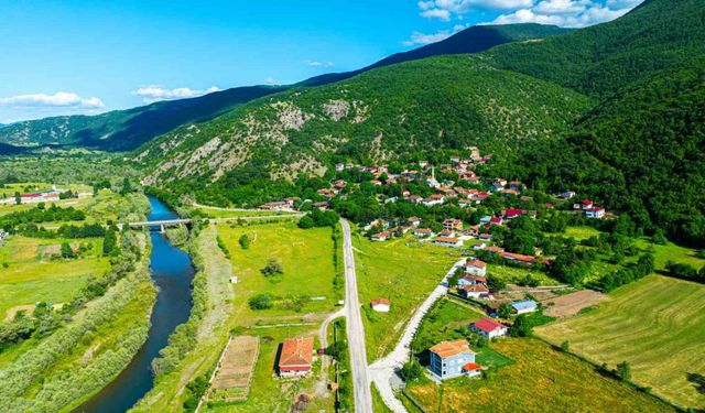 Almus’un mutfak mirası: Gelenekten geleceğe tadına doyulmaz yöresel lezzetler