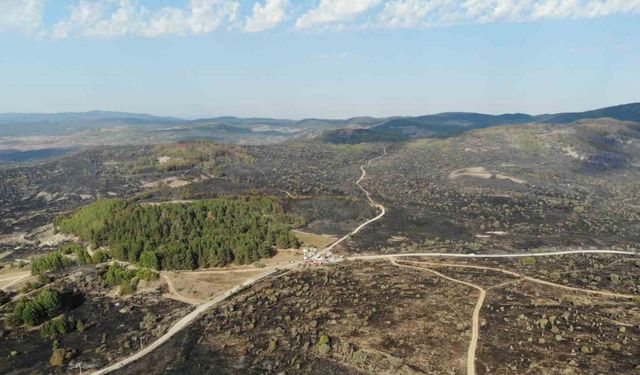 Ankara’dan Bolu’ya sıçrayan yangın 22 saat sonra kontrol altına alındı