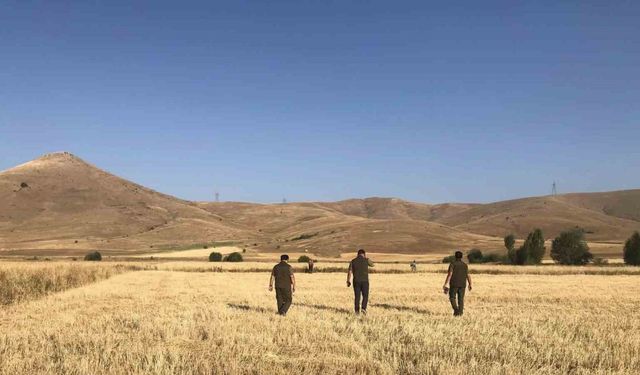 Av sezonunun başladığı Bayburt’ta avcılar denetlendi