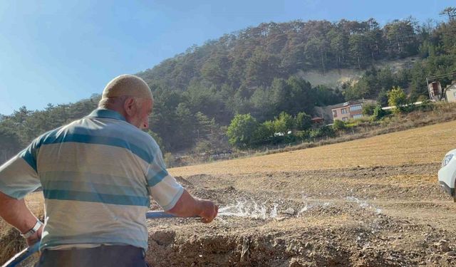 Bolu’da orman yangını kontrol altına alındı, vatandaşlar evlerine dönüyor