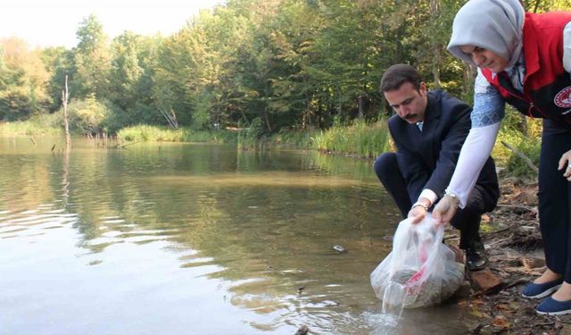 Düzce’de göl ve göletlere 35 bin sazan bırakıldı