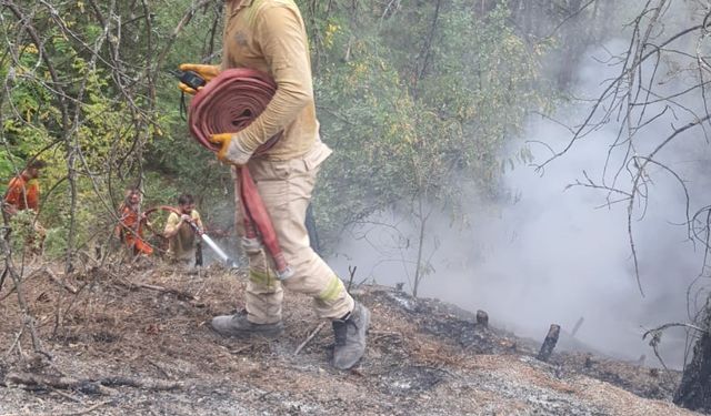 Karabük Ovacık’taki orman yangını kontrol altına alındı