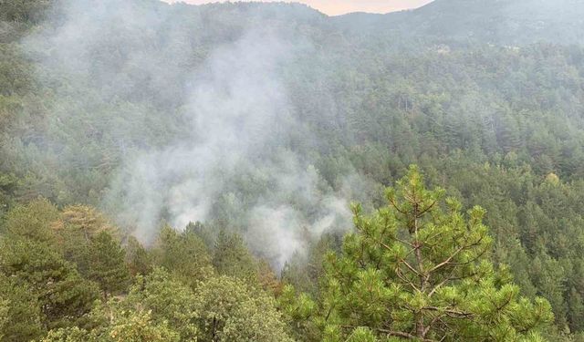 Karabük’te düşen yıldırım orman yangını çıkardı