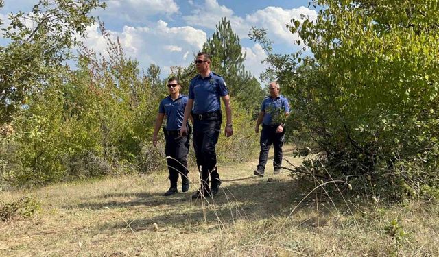 Ormanlara giriş yasağı olan Bolu’da polis ekiplerinden habersiz kuş uçmuyor