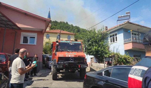 Zonguldak’ta orman yangını