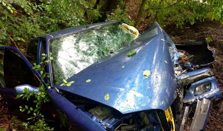 Kontrolden çıkan otomobil ağaca çarptı: 2’si ağır 3 yaralı