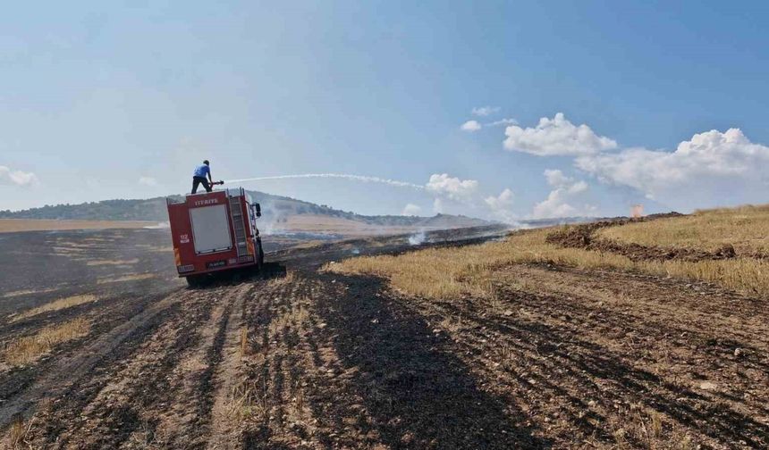 Anız yangını ormanlık alana sıçramadan söndürüldü