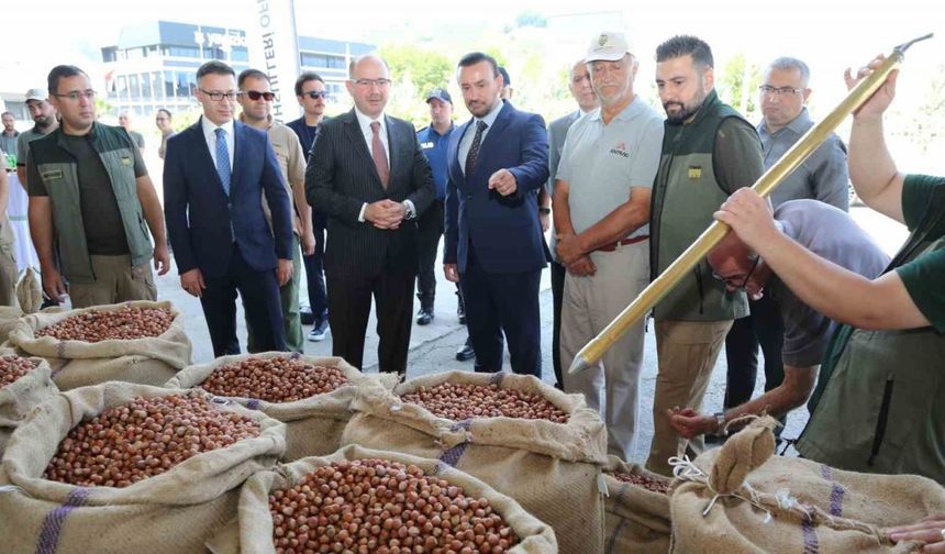 TMO Giresun’da ilk fındığı 135,96 liradan aldı