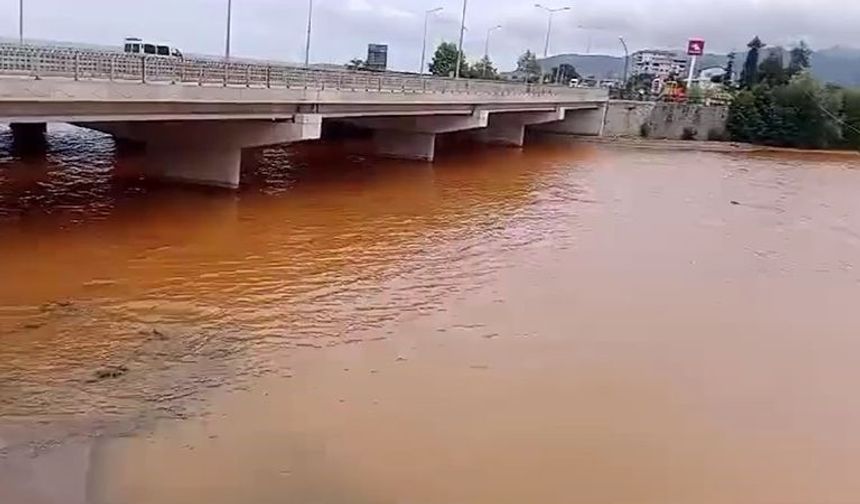 Türkülere konu olan Gelevera Deresi’ndeki balık ölümleri korkutuyor